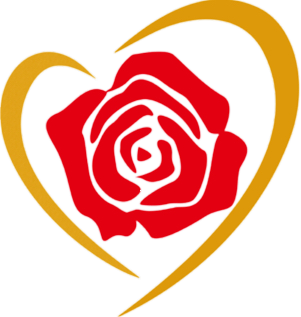 True Love Roses