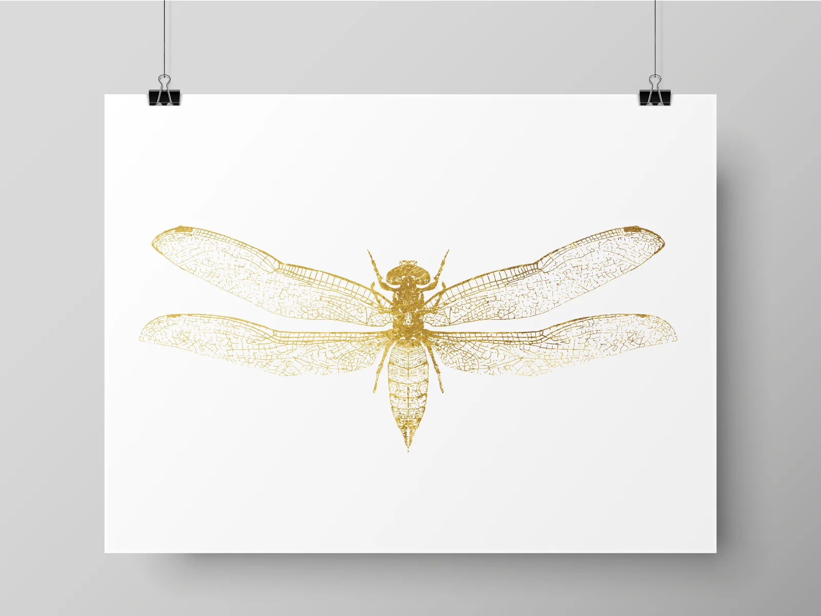 DRAGONFLY PER5.jpg