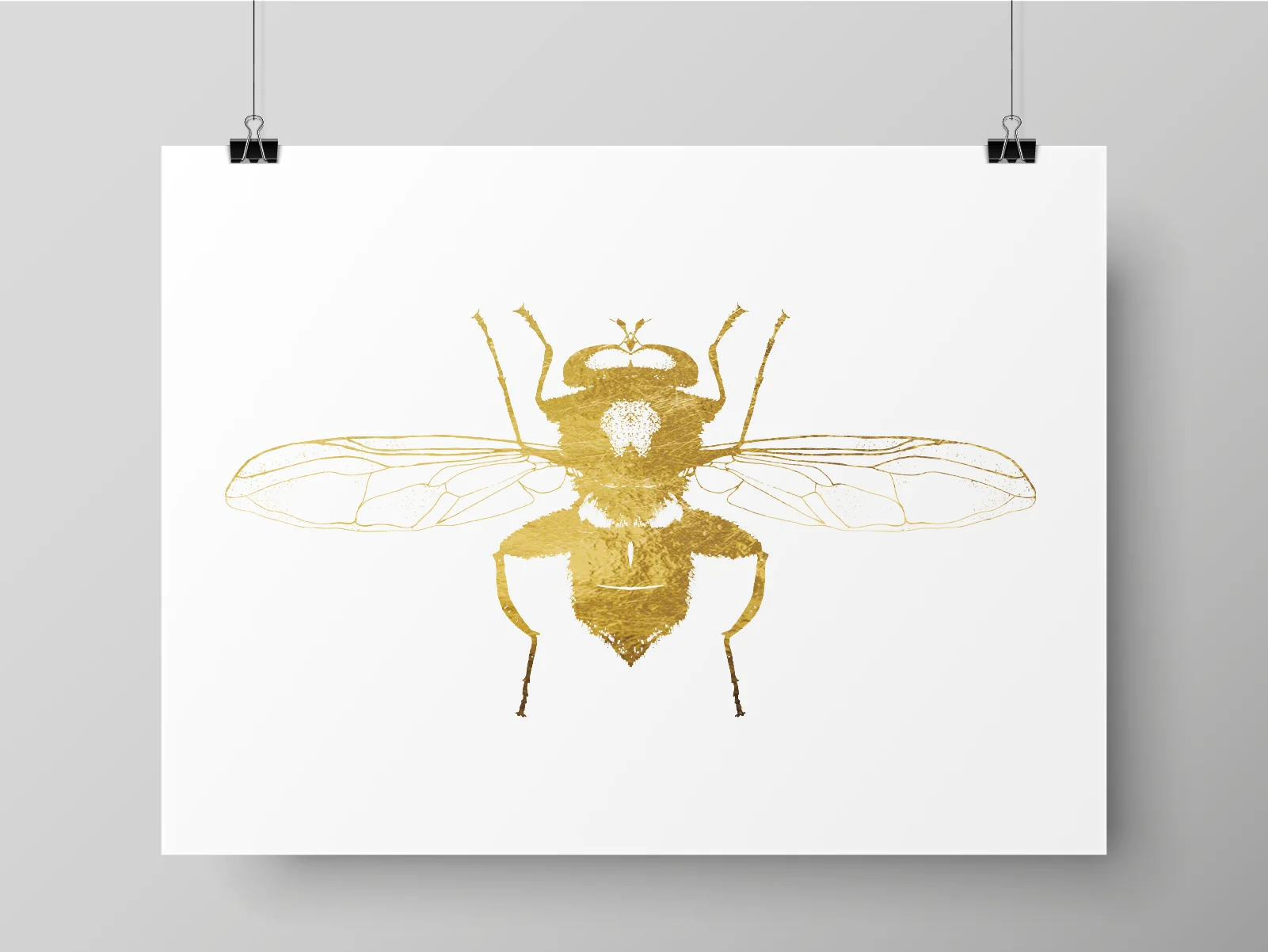 HOVERFLY PER4.jpg