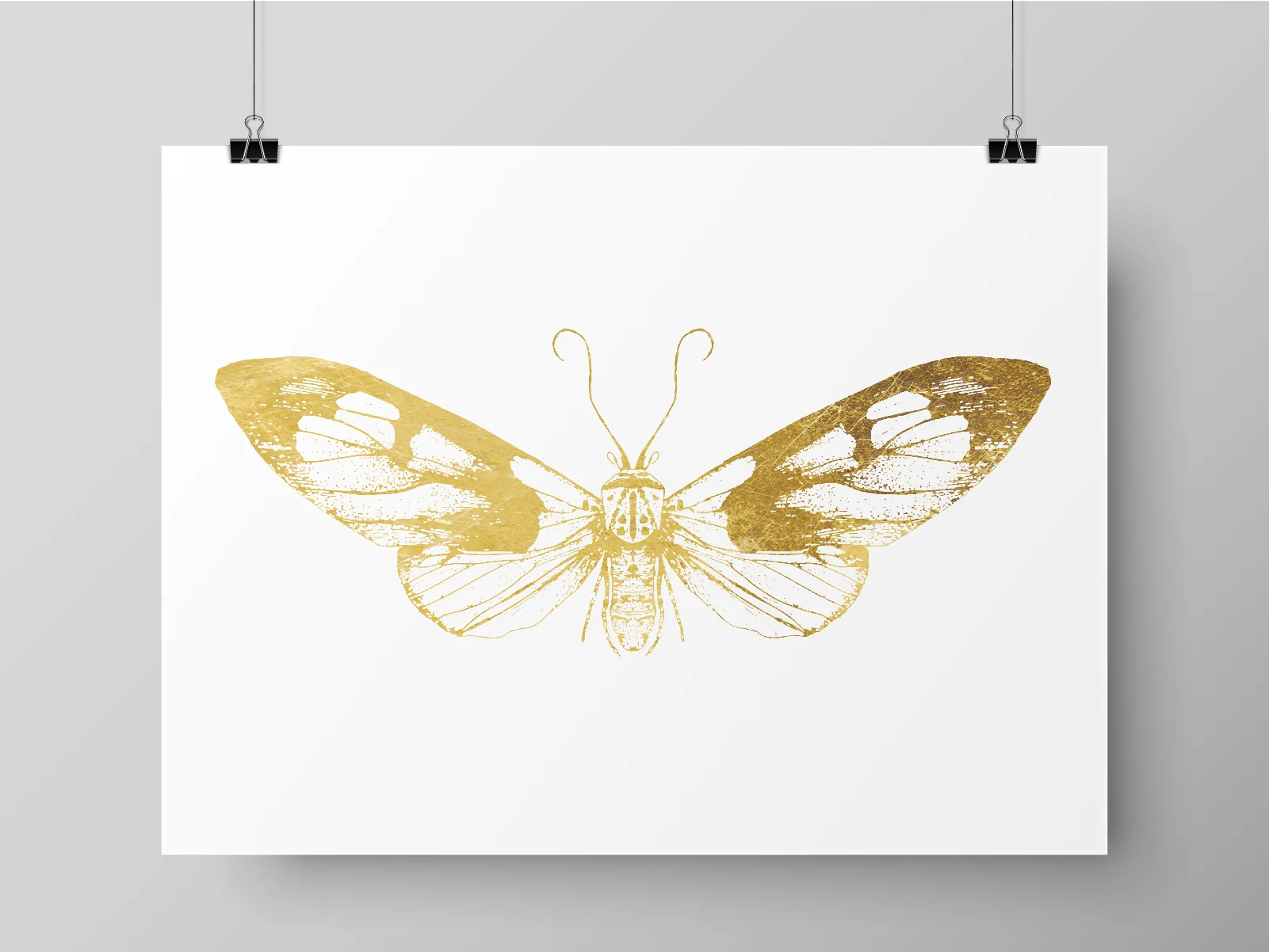MOTH PER3.jpg
