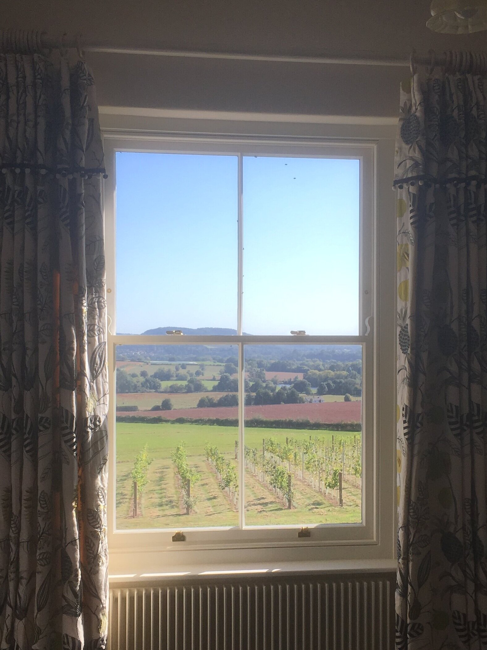 Copy of Traditional Sliding Sash Window