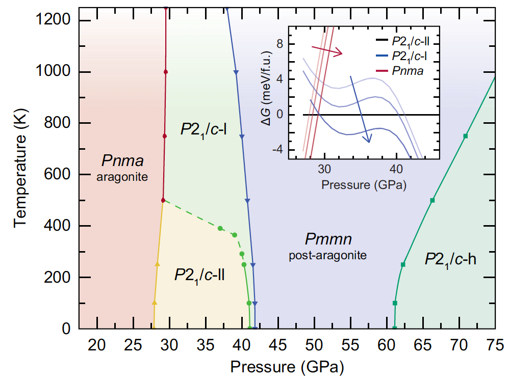 Post-aragonite phases of CaCO<sub>3</sub> at lower mantle pressures