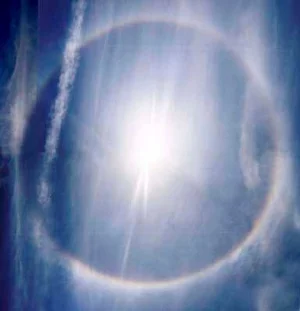 Sundog Full Circe copy.jpg