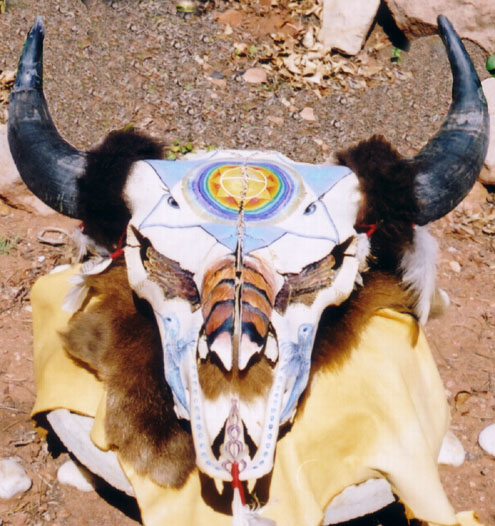 Buffalo Skull Eye wings.jpg