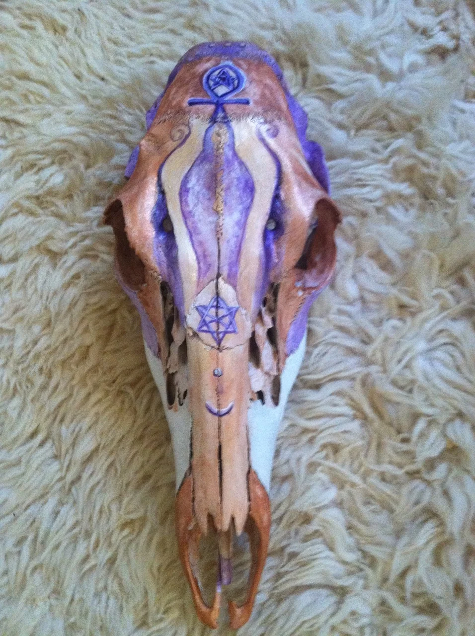 Deer Skull- Rock ART.jpeg