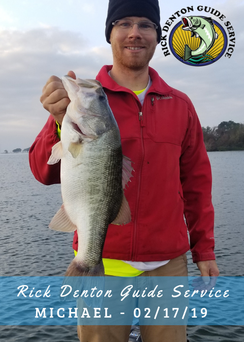 Michael - 02/17/19