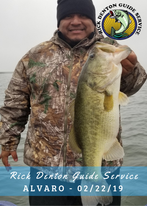 Alvaro - 02/22/19