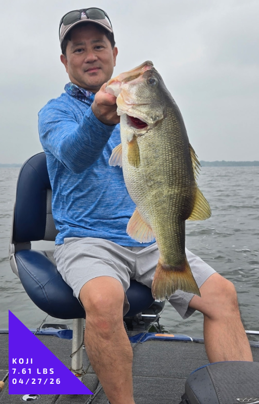 04-27-26 - Koji - 7.61 lbs.