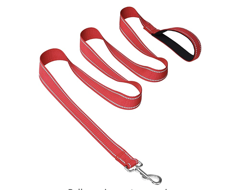 Padded Handle Puppy/Dog Lead