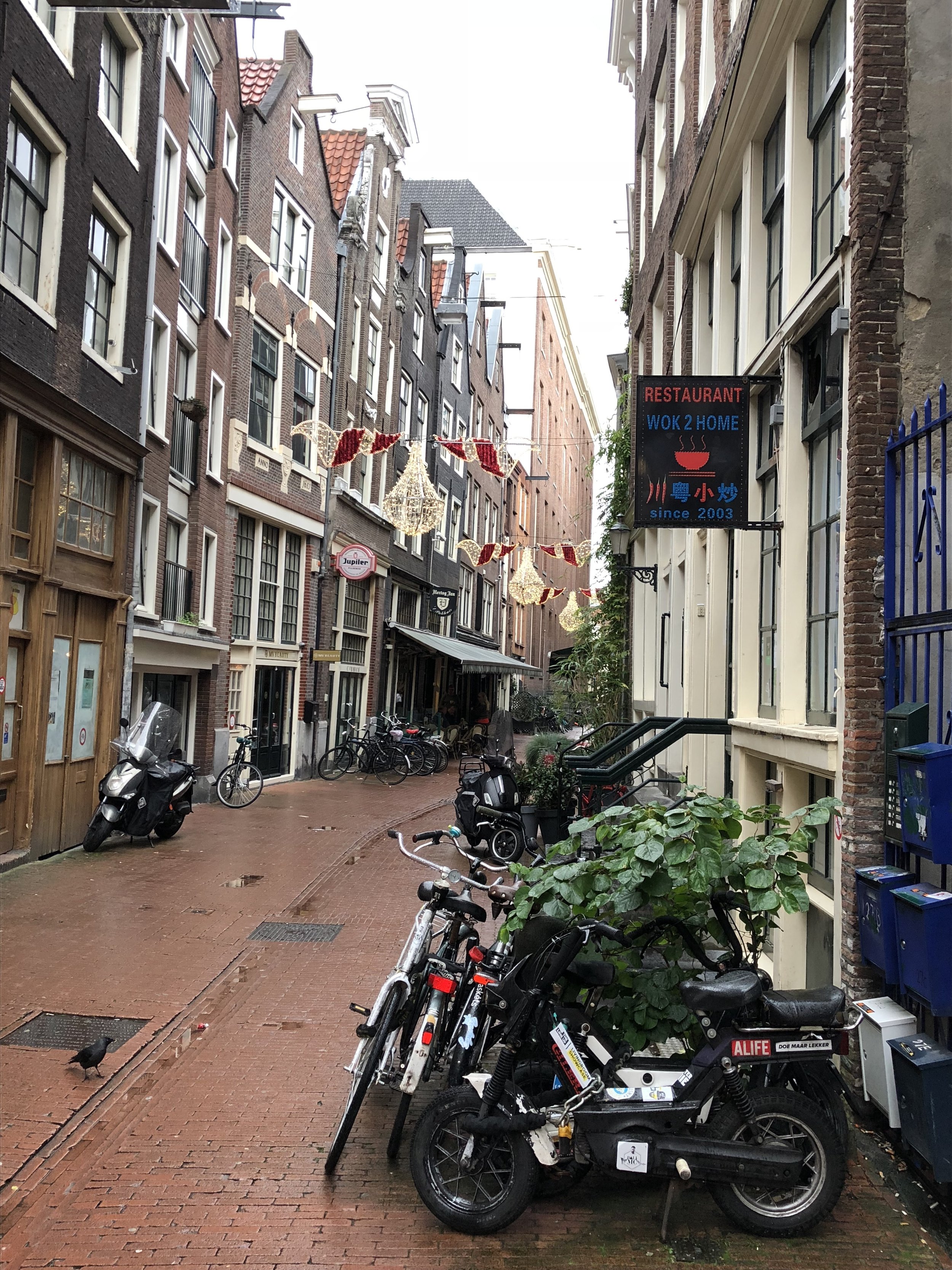 Amsterdam Alley - The Kissters