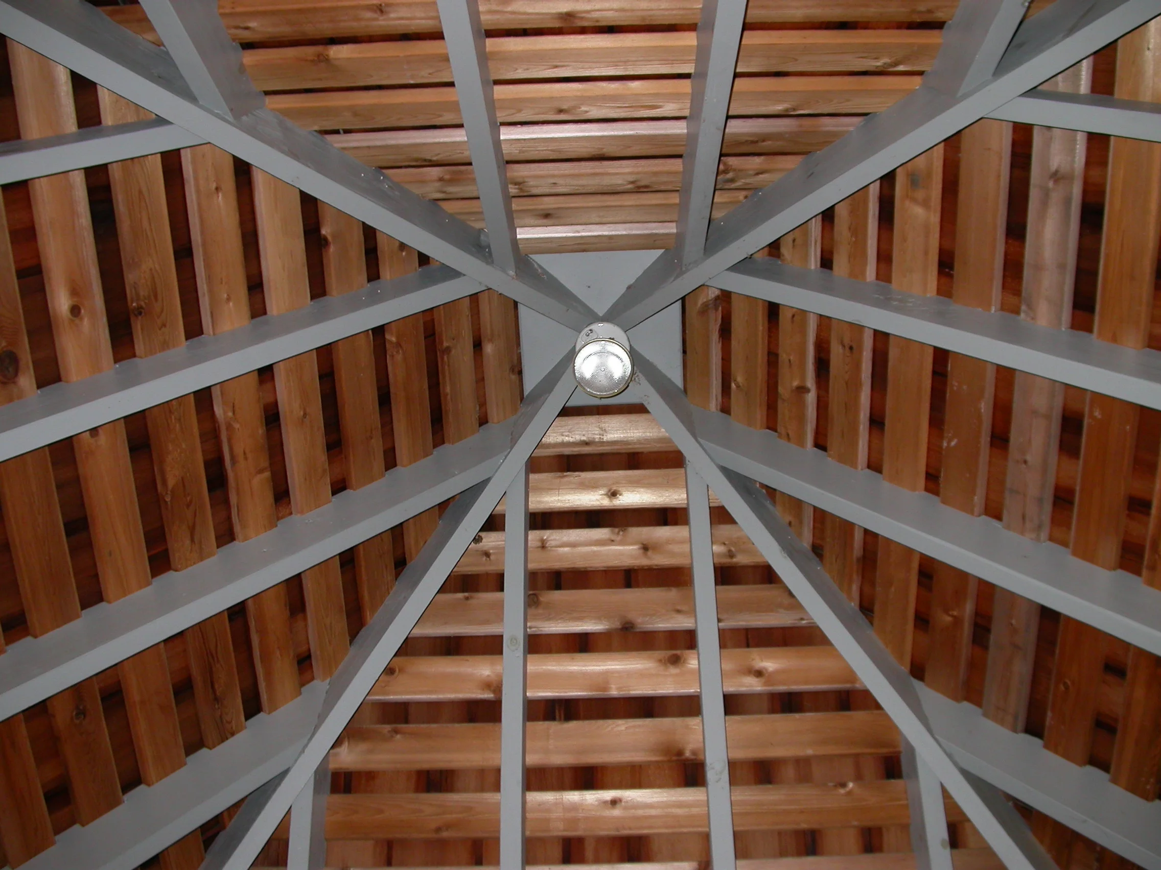 DSCN1161 1.JPG
