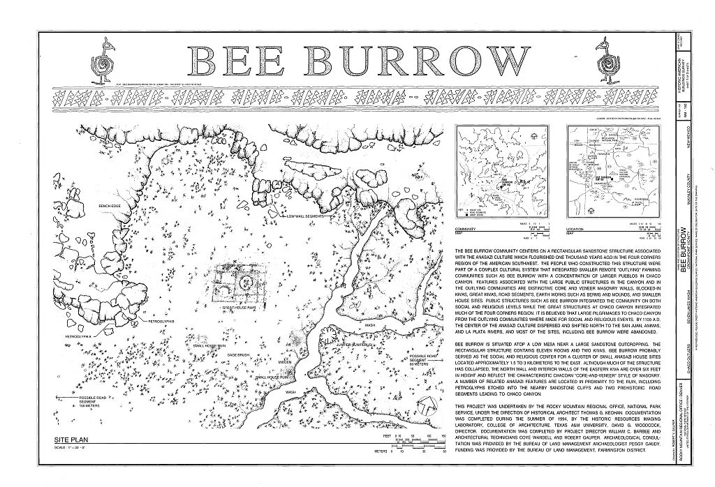 Bee Burrow Title.jpg