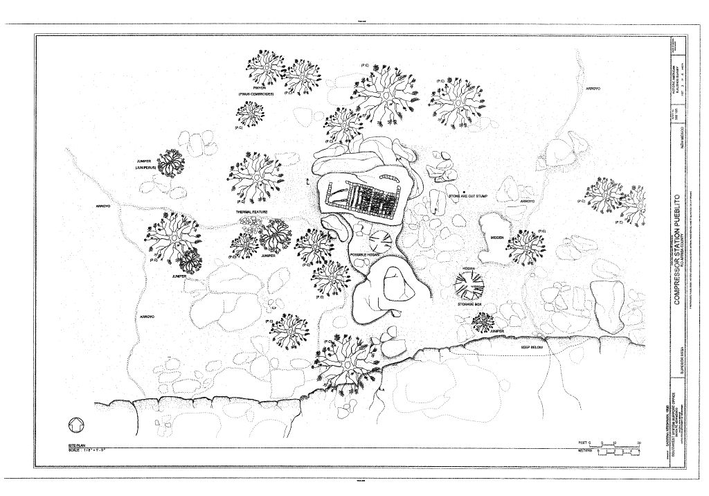 Compressor Station Site..jpg
