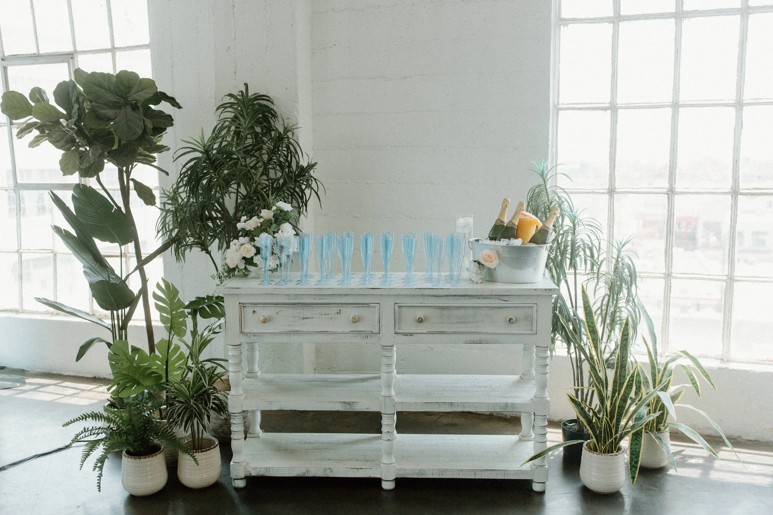 BabyDragonShower-30.jpg