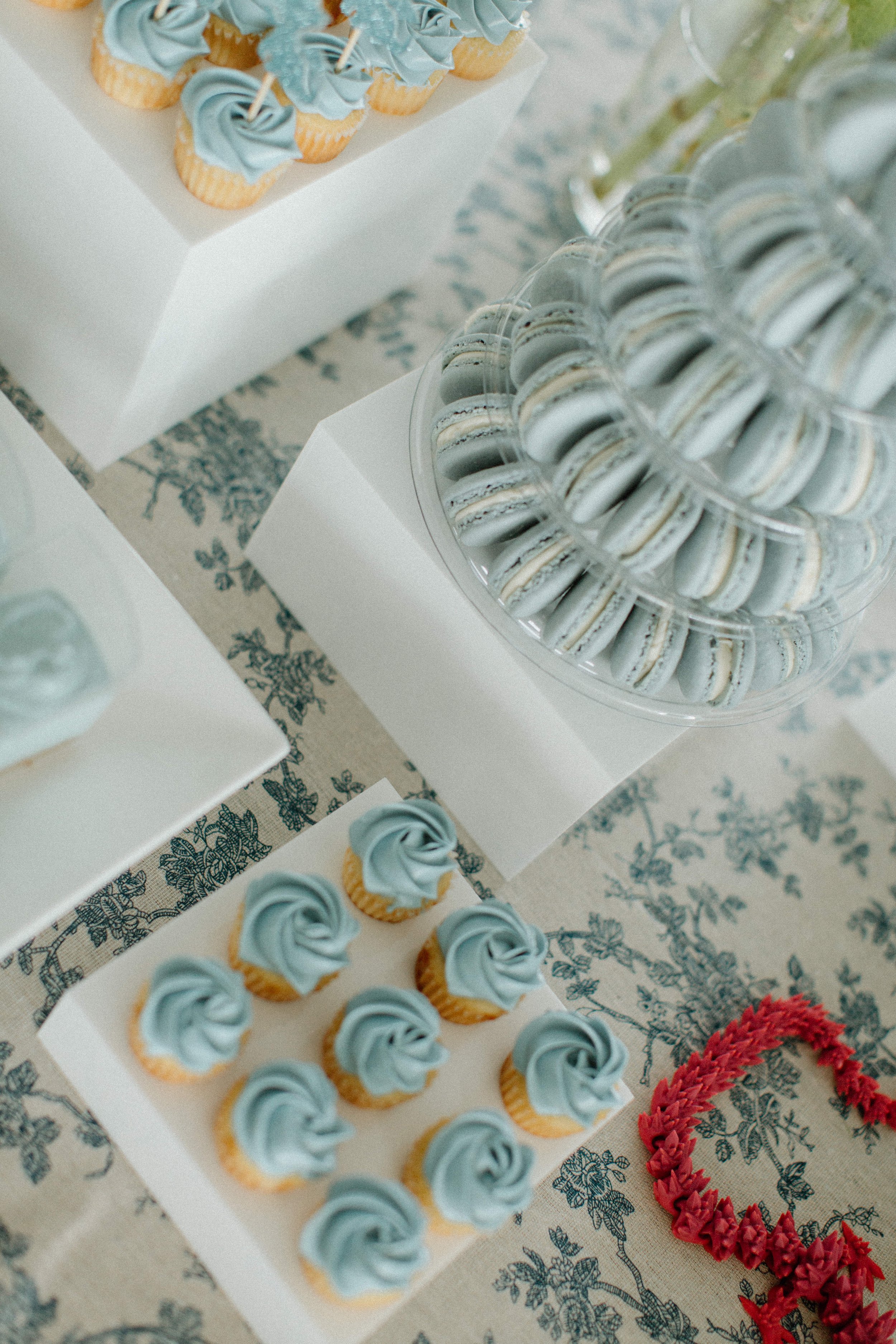 BabyDragonShower-46.jpg