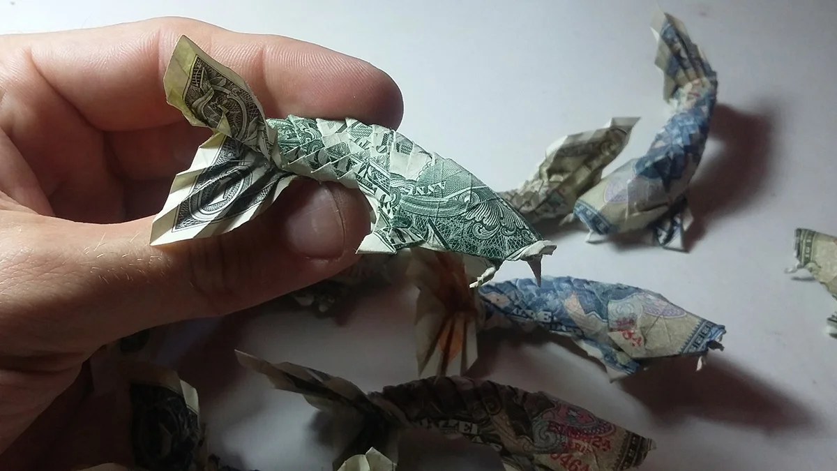 Egy kész archetípus, Won Park féle dollárkoi.