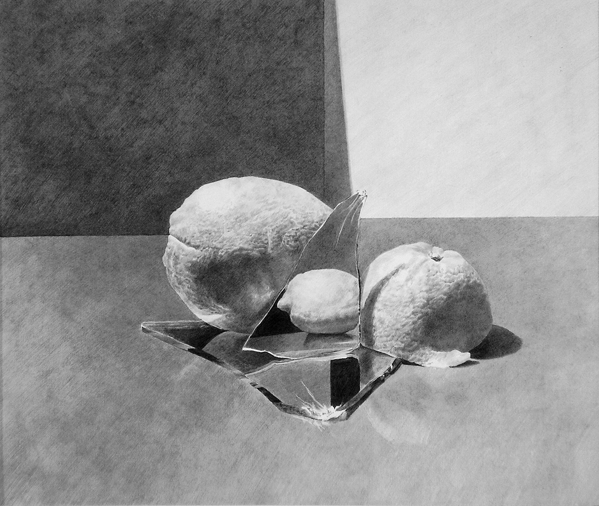  Loneliness - Oranges with Lemon, graphite 0.3-0.7 on paper, 344mm x 287mm, 2009 - SOLD 