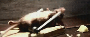 munka.gif