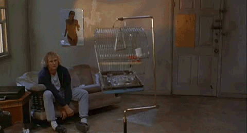 otthon.gif