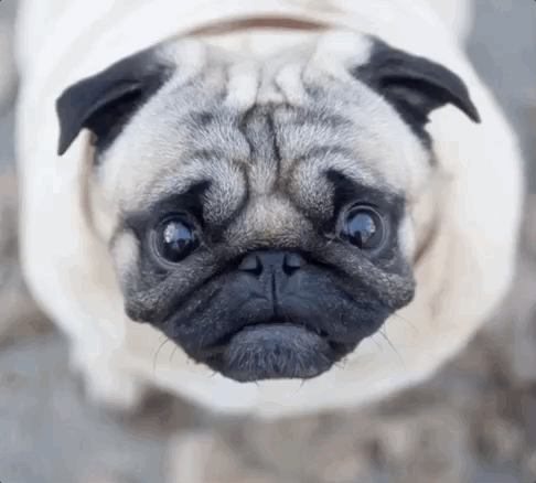 BLINKY GIF.gif