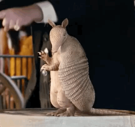 IMPROVED AL DANCE.gif