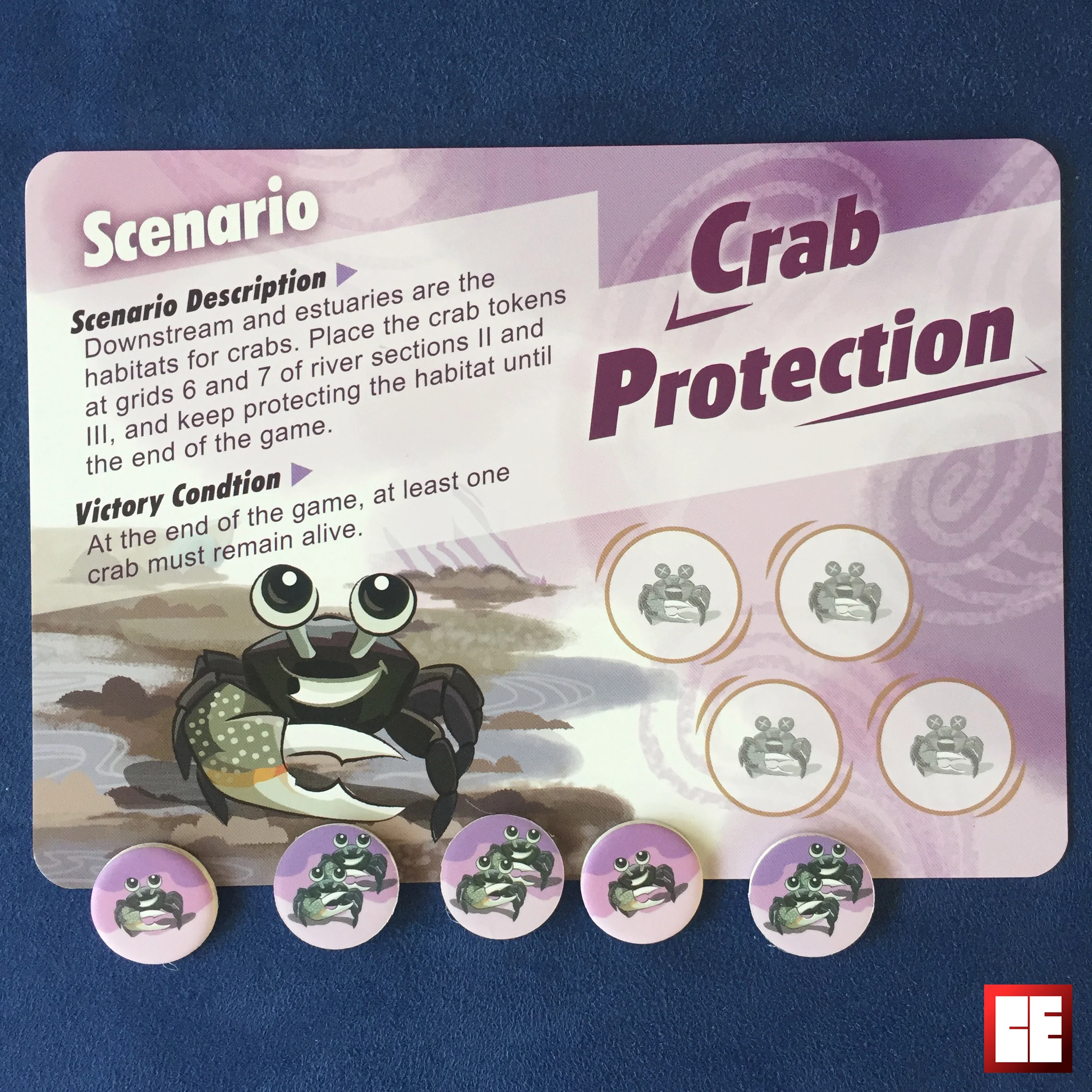 scenario 1 crab2.jpg