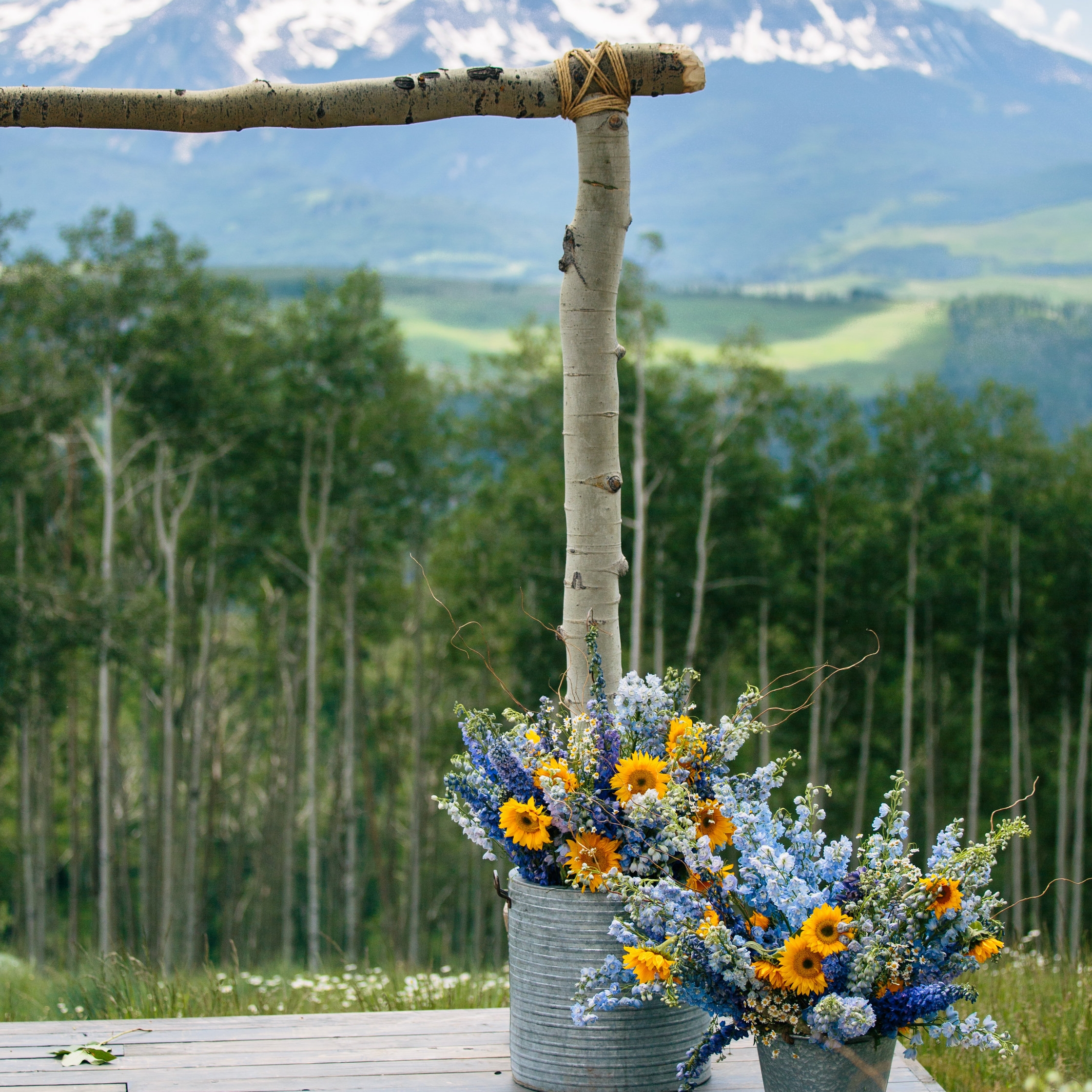 139_PRINT | 6.27.15 | andi + dan | kendall pavan photography.jpg