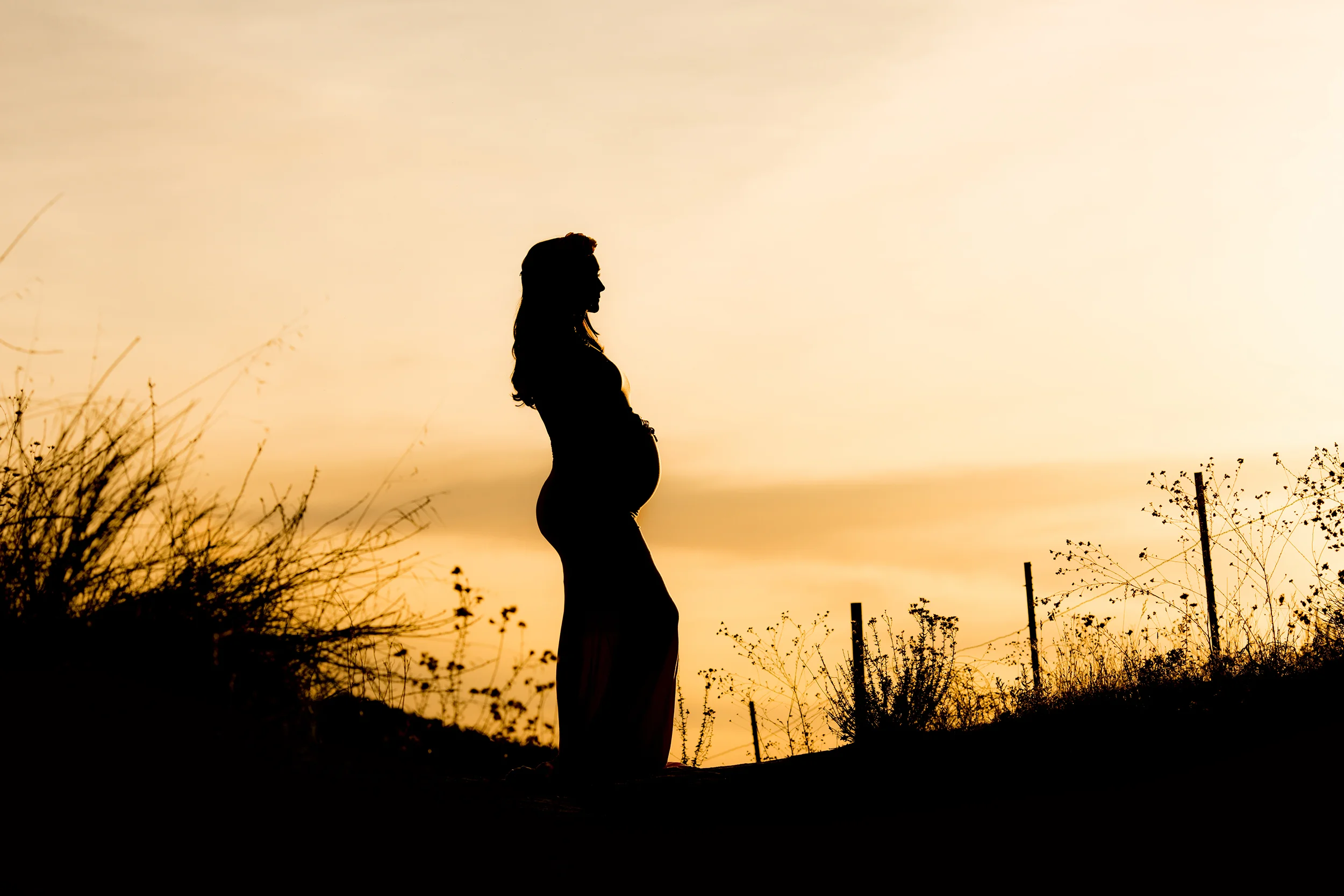 maternity2.jpg