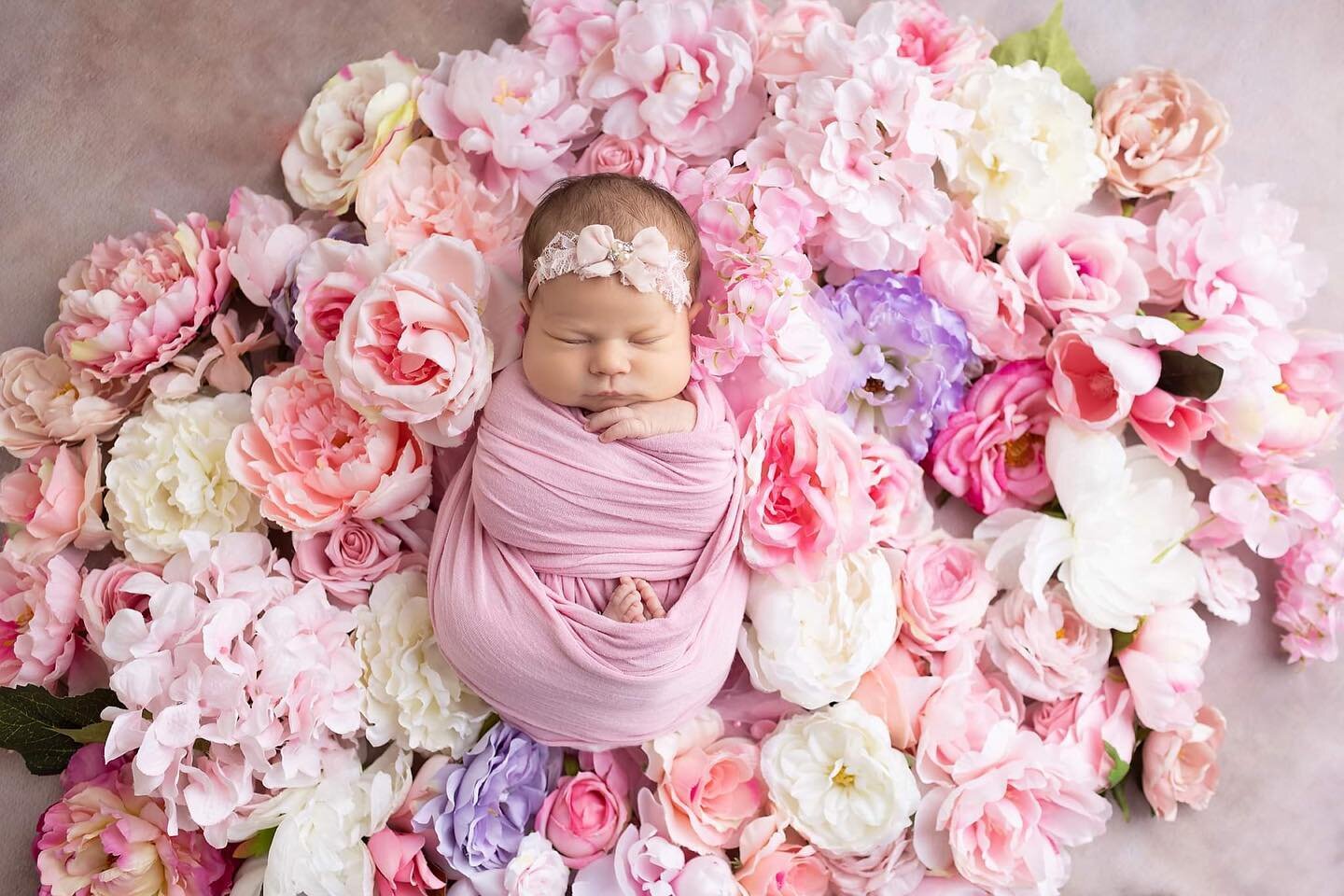 Oh my goodness, so many newborn girls in April!  Where are all the boys?? I love adding floral to my sessions. This little bundle slept so well for me. ❤️

#newbornphotography #newbornphotographer #newbornsession #sandiego #sandiegomom #carlsbad #oce