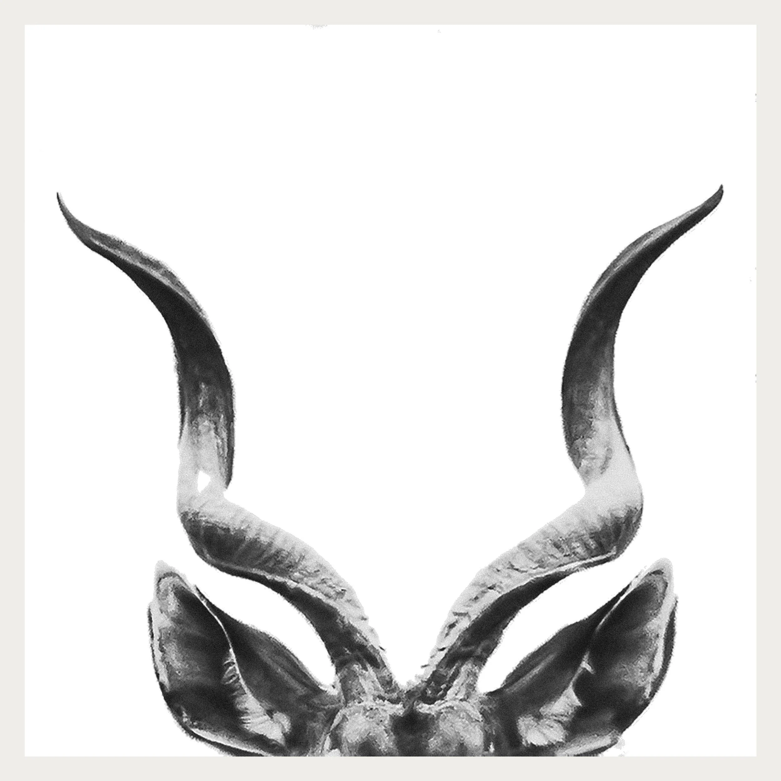 Kudu