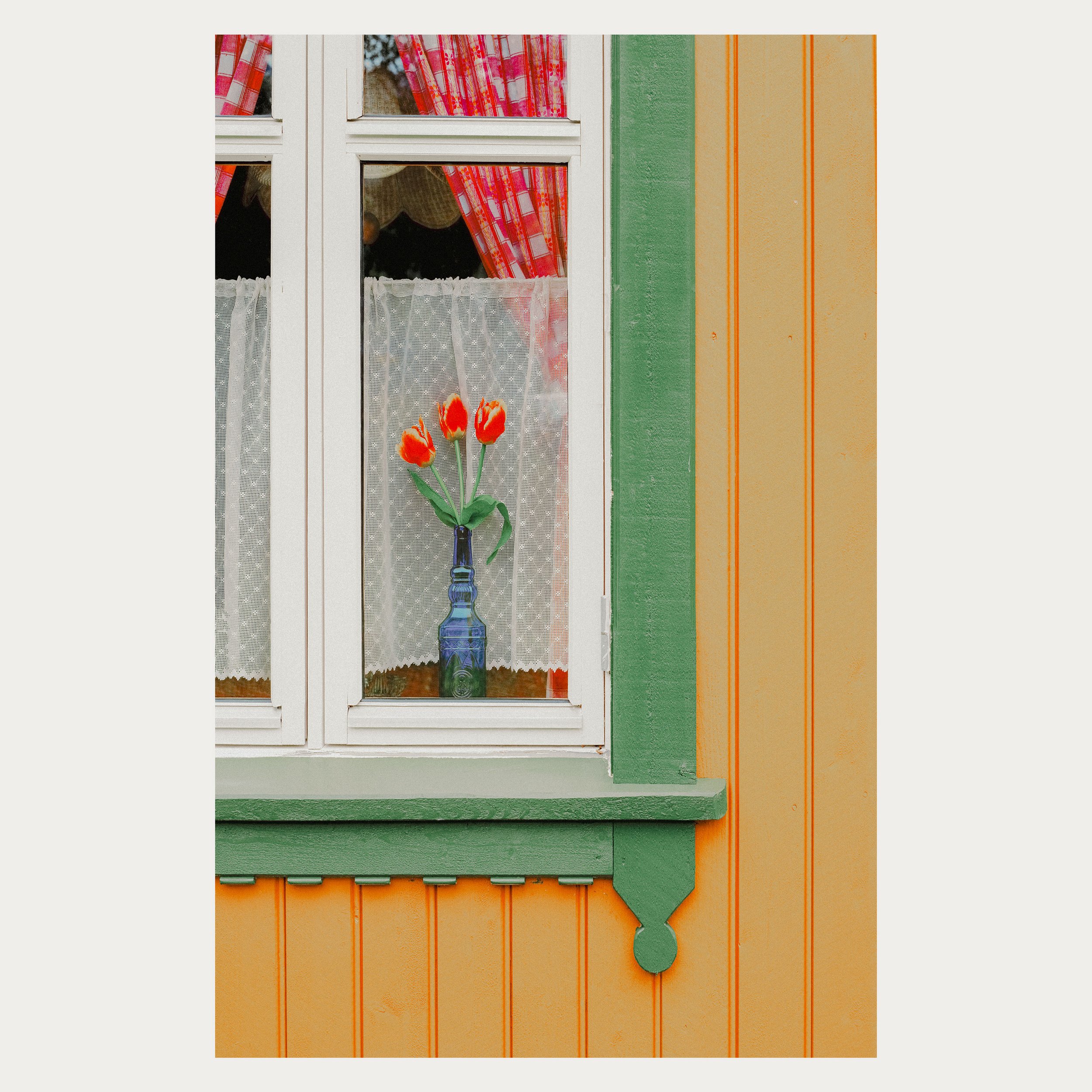 Three Tulips WEB.jpg