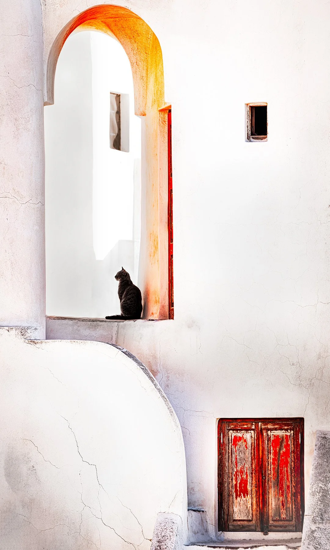 20626 Cat in the Shade (TP) WEB.jpg