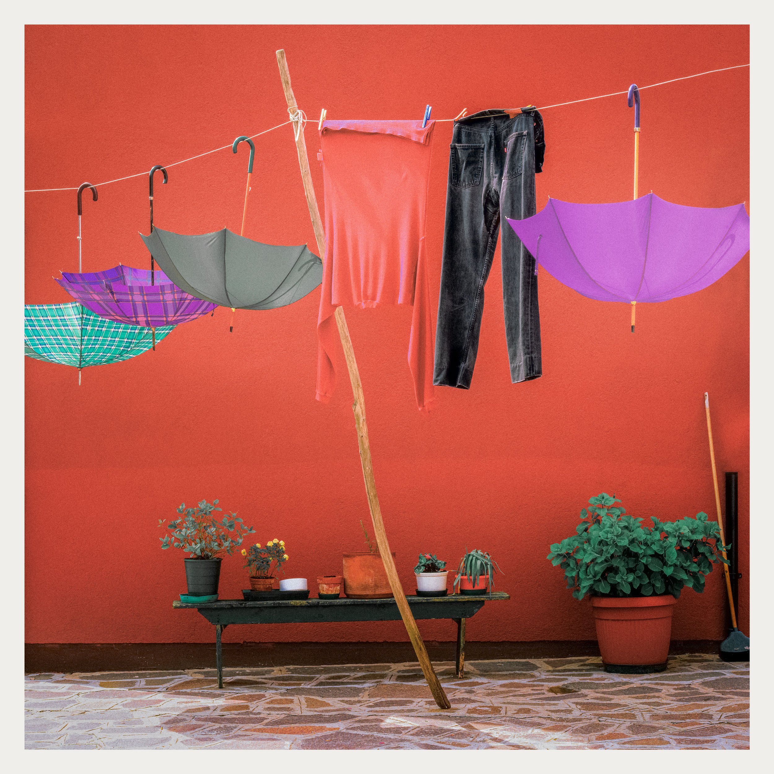 After the Rain WEB.jpg