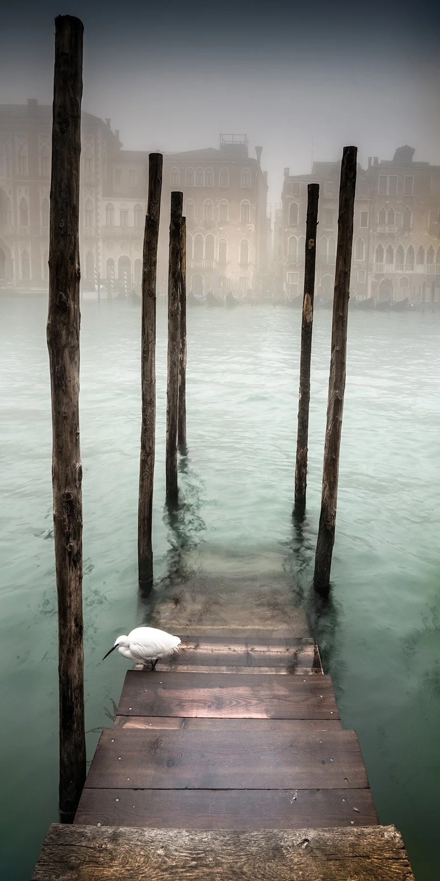 20498 Hesitation (2by1) WEB.jpg