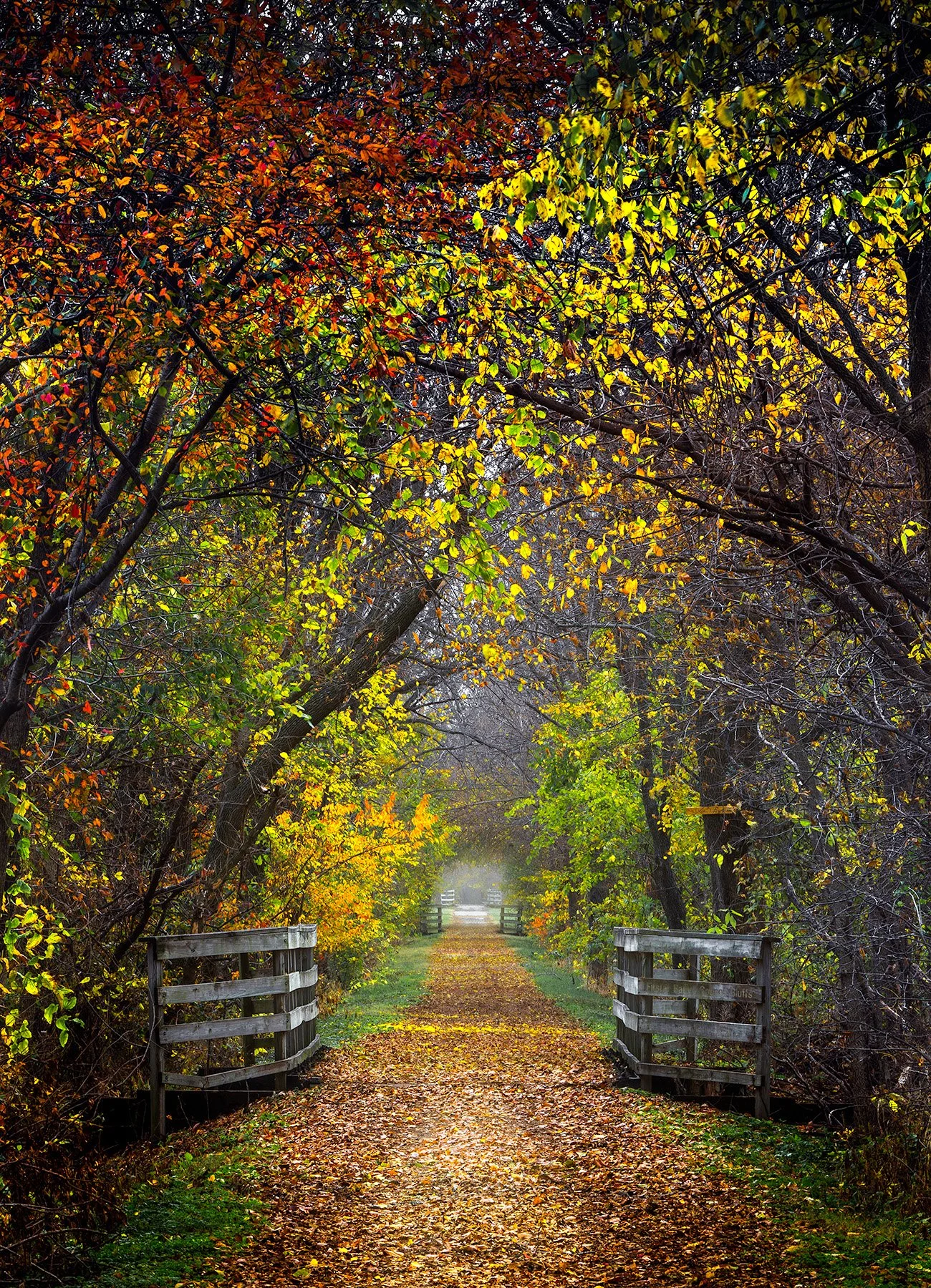 20507 Trace of Autumn (PL) WEB.jpg