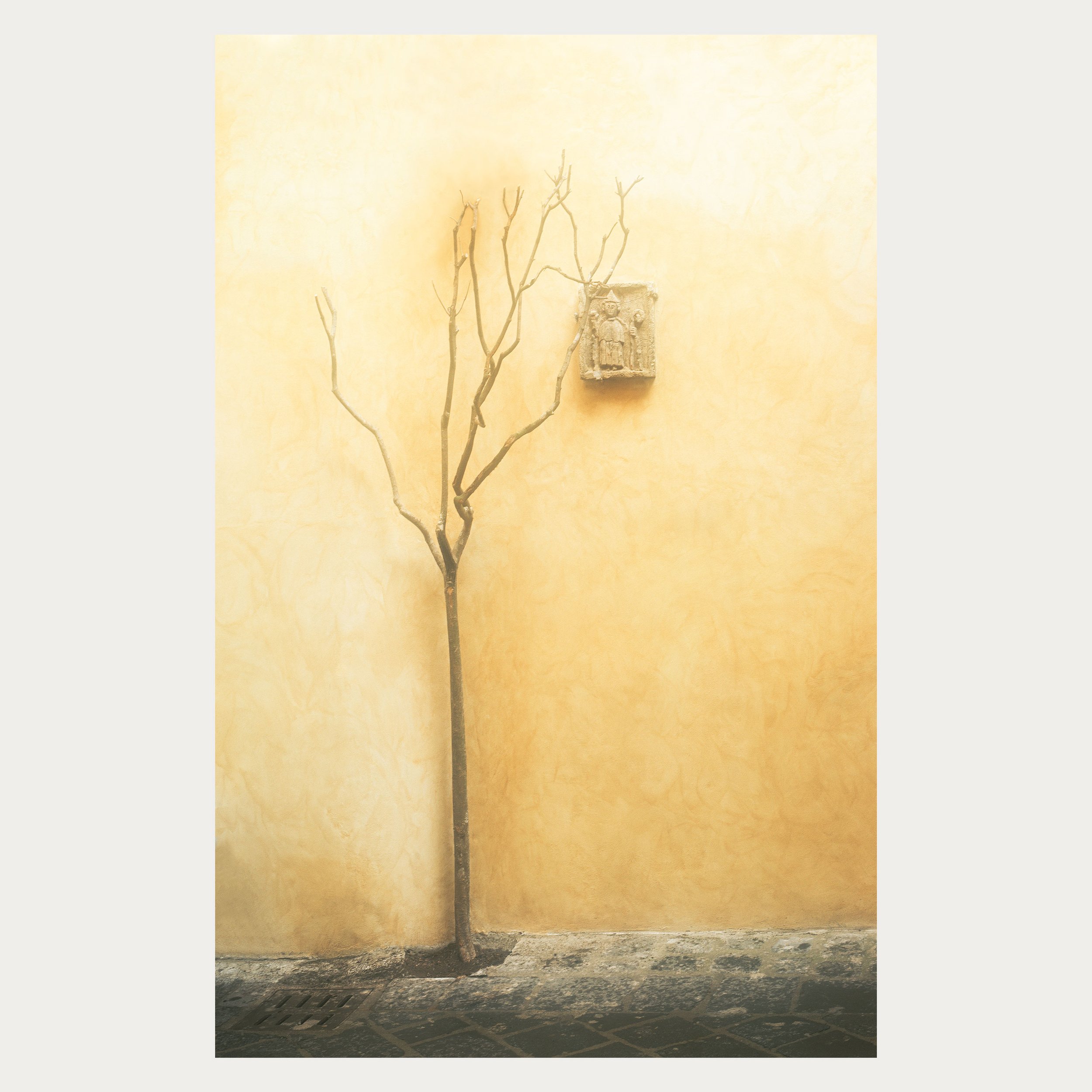 Orvieto WEB.jpg