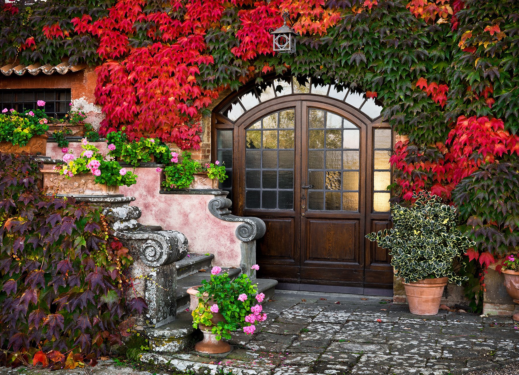 20396 Scala Rosa II (PL) WEB.jpg