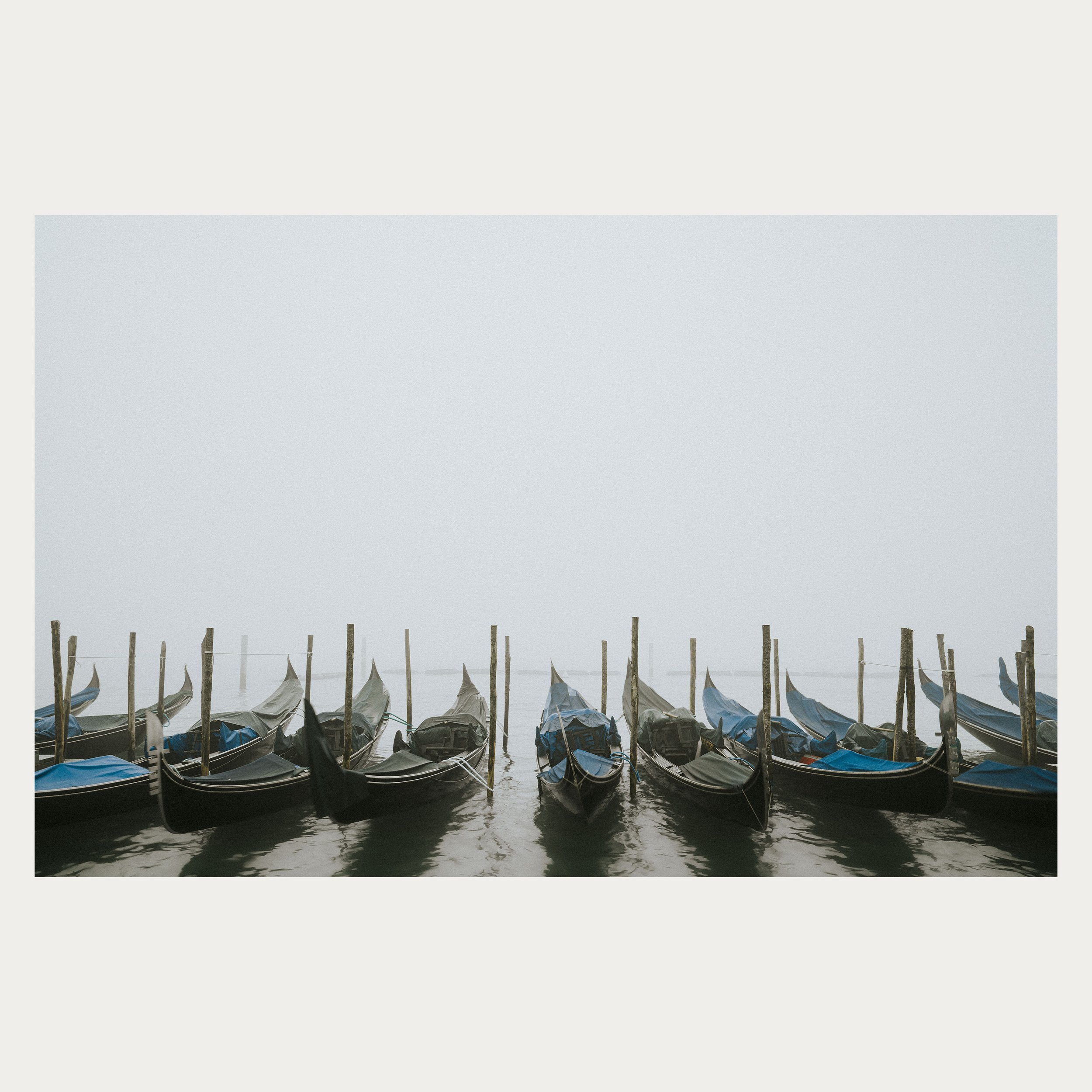 Through the Mist WEB.jpg