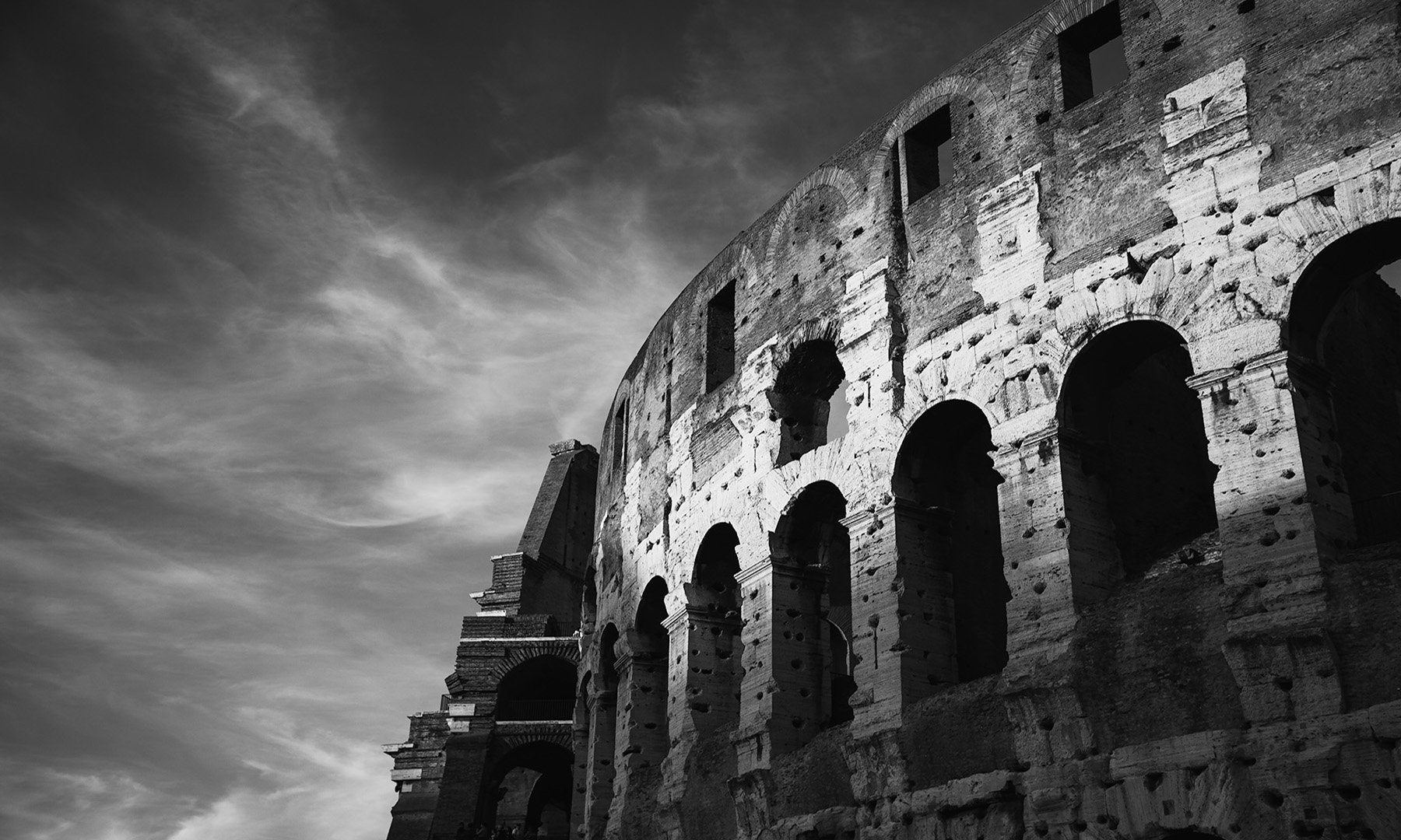 20669 Gladiator (TP) WEB.jpg