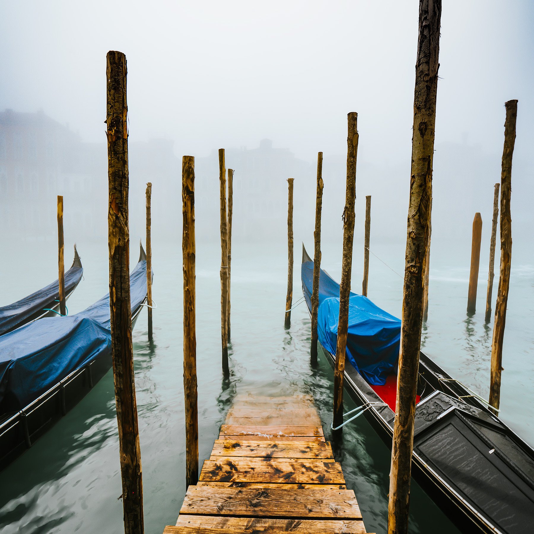 20676 The Floating City (S) WEB.jpg