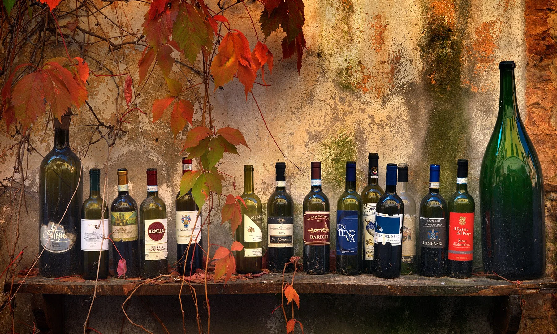 20461 Buon Vino (TP) WEB.jpg