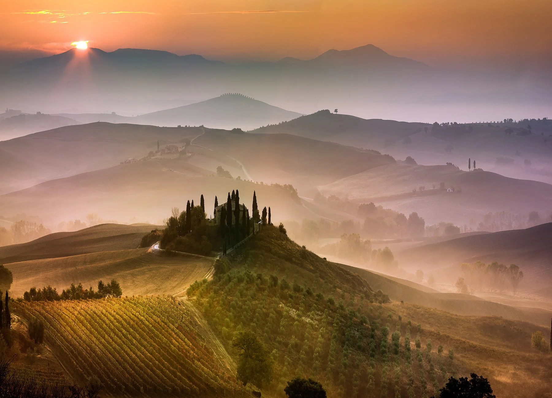 20511 Sunrise (PL) WEB.jpg