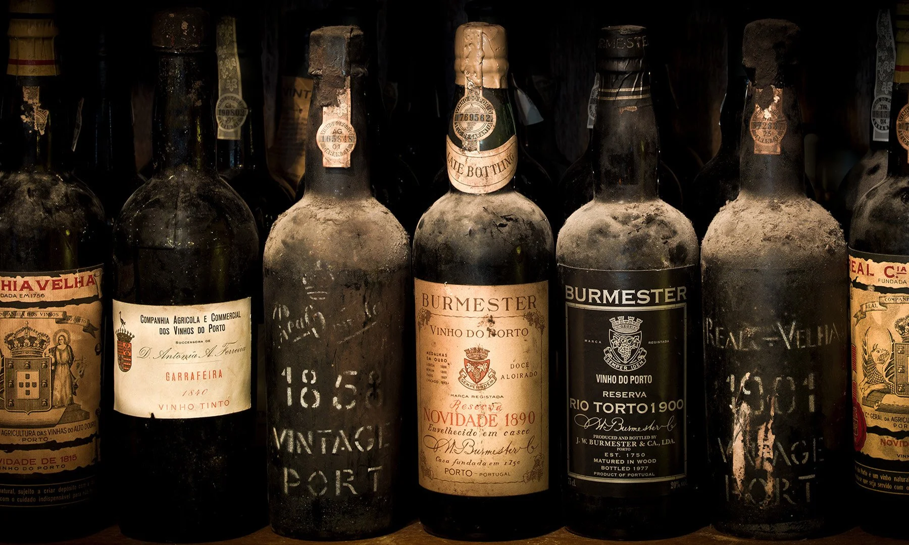 20477 A Good Year (TP) WEB.jpg