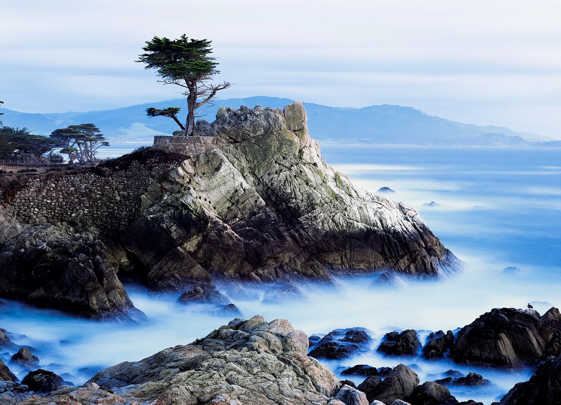 20072 Evening in Blue (PL) WEB.jpg