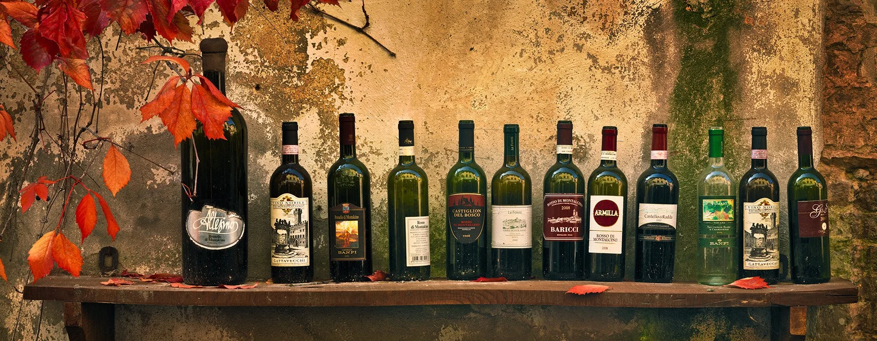 20398 Vino Fila (SP) WEB.jpg