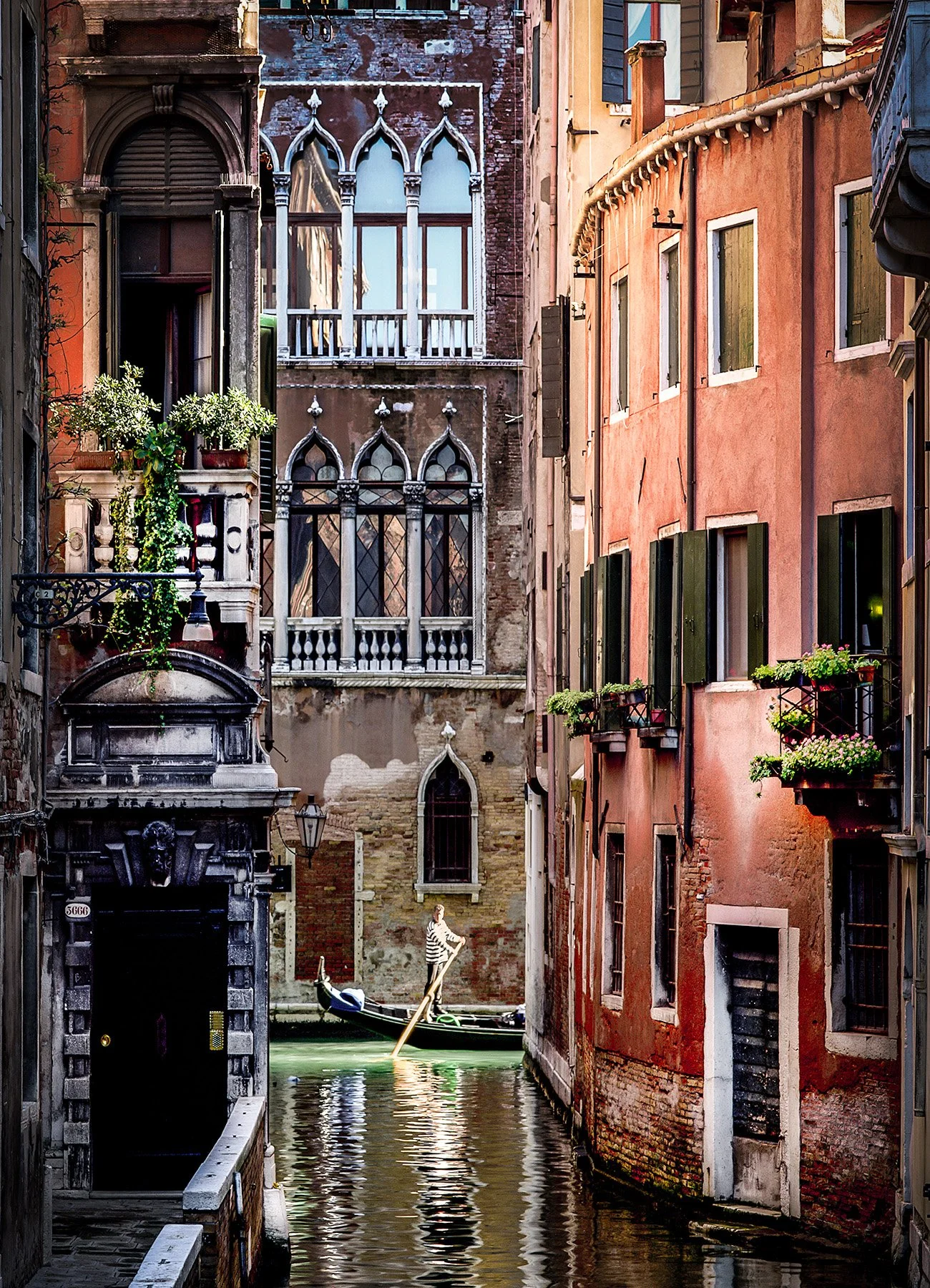 20174 Sunlit Gondolier (PL) WEB.jpg