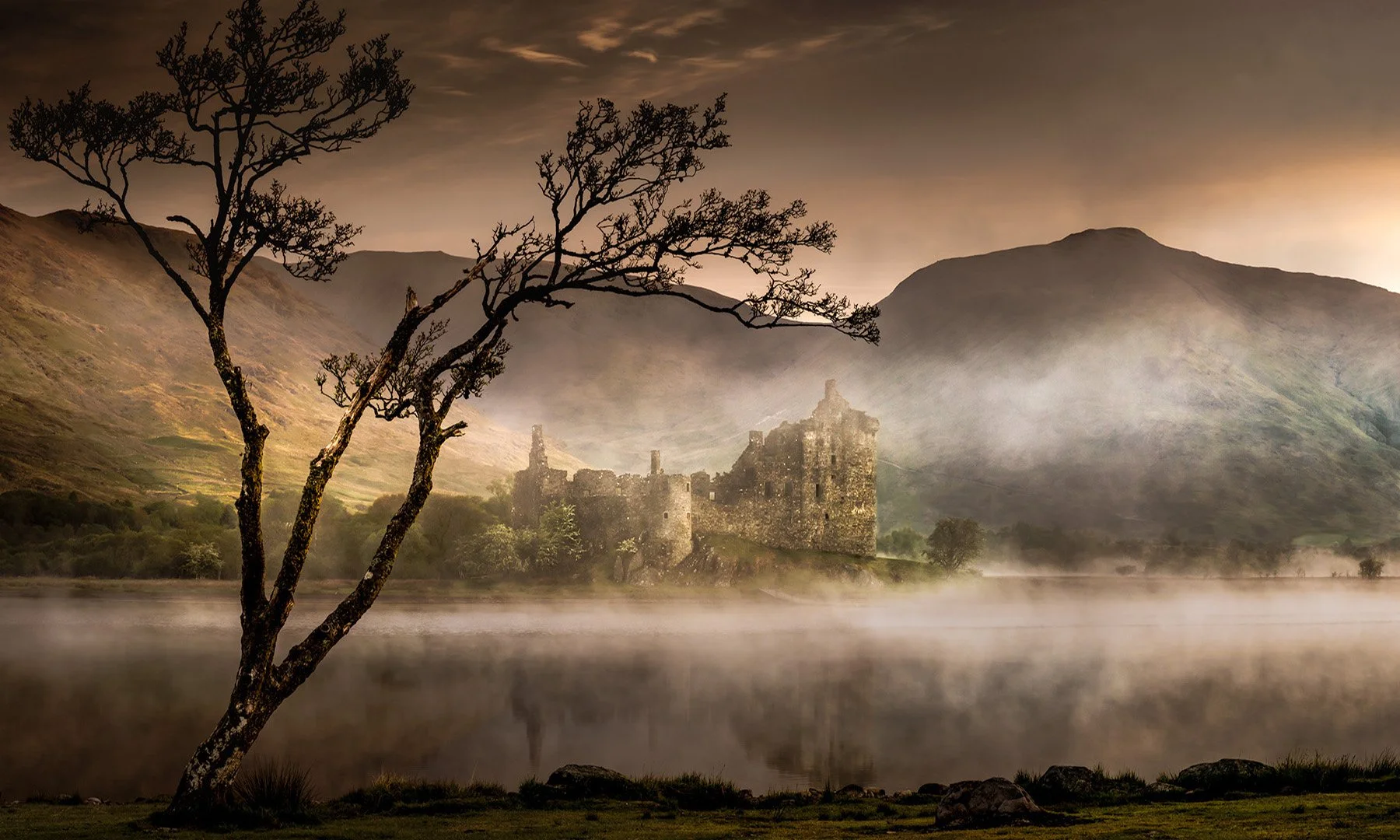 20549 Medieval Dawn (TP) WEB.jpg