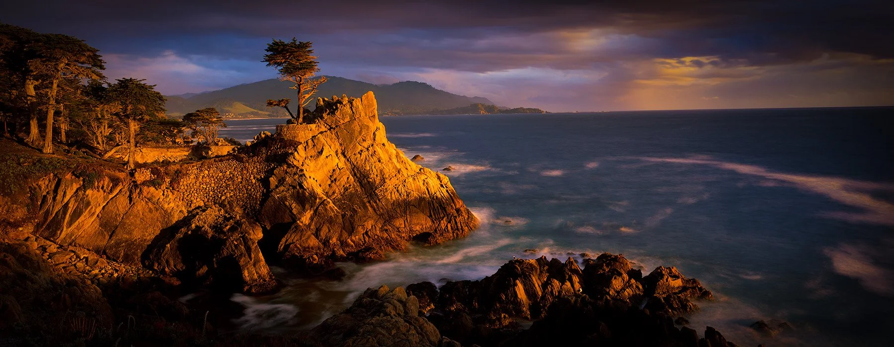 20494 Lone Cypress (SP) WEB.jpg