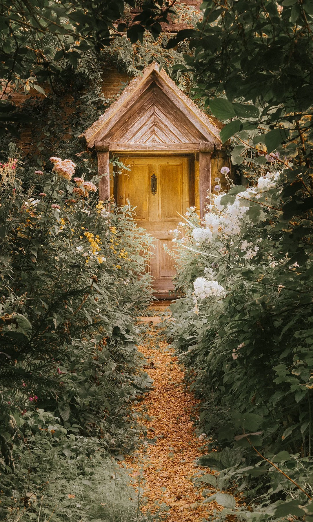 Cambray's (TP) WEB.jpg