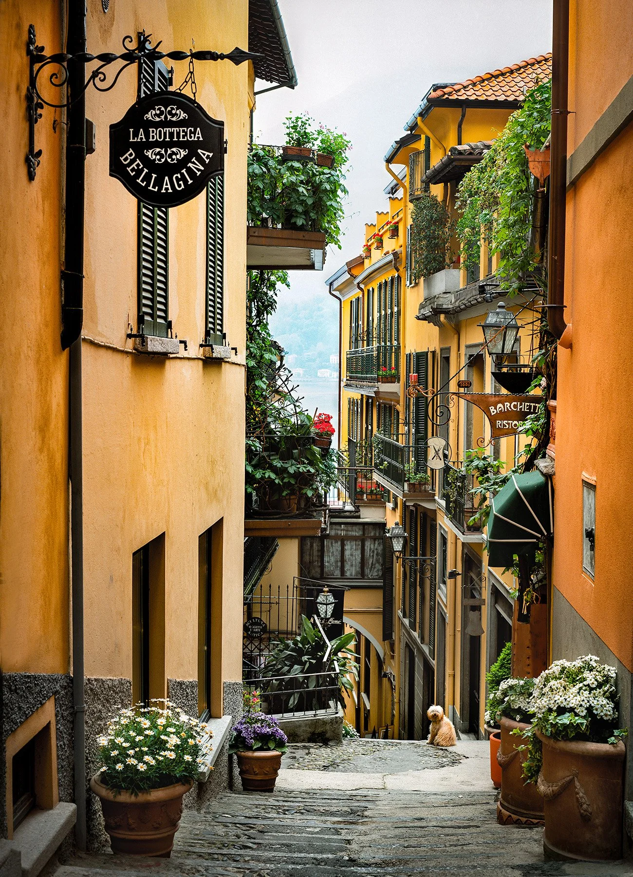 20132 Poo-Pah (PL) WEB.jpg